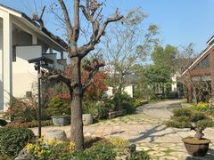 -广富林宰相府酒店·水云间
