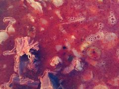 -铁谢李松祖传羊肉汤馆