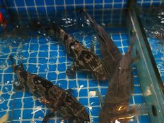 -好人家海鲜酒楼(淞南路店)