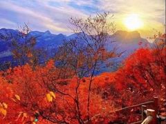-妙峰山风景名胜区