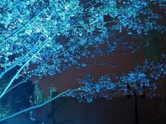 -湖滨客舍·湖北菜