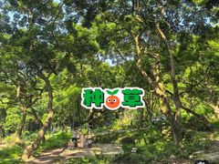 -广州白江湖森林公园