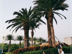 -宝安西湾红树林湿地公园