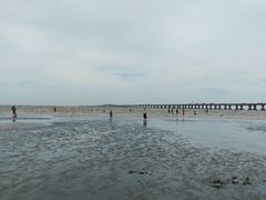 -南汇新城海滩