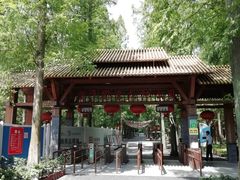 -东平国家森林公园