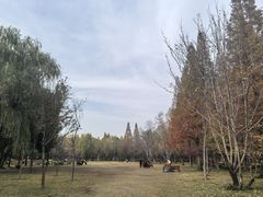 -洛阳市隋唐城遗址植物园