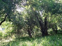 -中国茶叶博物馆(双峰馆区)
