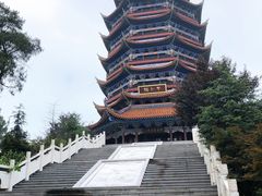 -铁山坪森林公园