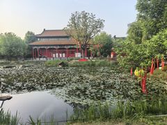 -曹州牡丹园