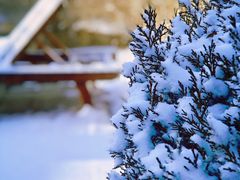 -大连金石滩绿发温泉假日酒店