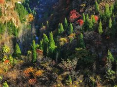 -黄花溪