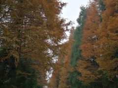 -山王坪喀斯特国家生态公园