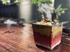 -陶醉馆·艺术雅集私宴