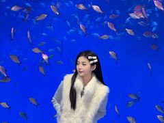 -合肥海洋世界