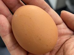 -滇釜火锅·能喝汤的火锅(车公庄店)