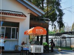 -前小桔亲子创意农场·草莓采摘·露营烧烤