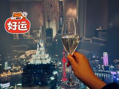 -上海柏悦酒店