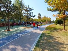 -羊亭河湿地公园