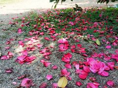 -明谷行馆·温泉