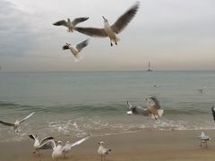-海云台海滩