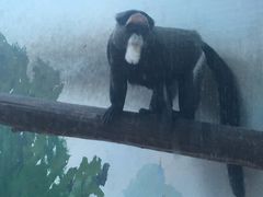 -海河游船-永乐码头(大悲院)