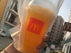 -麦当劳(新洲南路店)