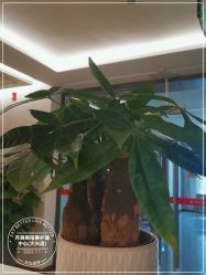 -月满阁月子中心(莲湖区店)