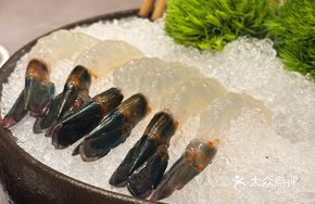 Fengwei Shrimp Salad
