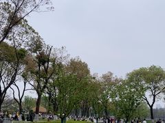 -武汉动物园