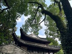 -天一阁博物院