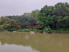 -海珠湖公园