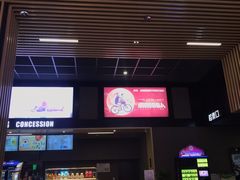 -SFC上影影城(成都科华IMAX店)