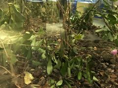 -上海昆虫博物馆