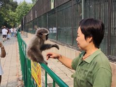 -保定市动物园