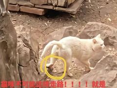 -昆明动物园
