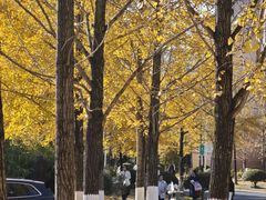 -浙江农林大学(东湖校区)