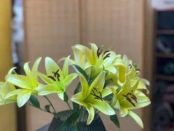 -FineYoga梵音瑜伽·普拉提