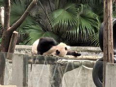 -重庆动物园·东二门售票处