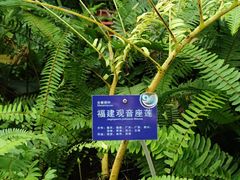 -国家植物园南园