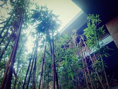 -天津东丽湖风景区