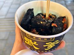 -武爹臭豆腐(坡子街店)