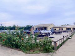 -北京群众马术培训基地