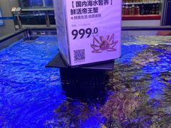 -盒马鲜生(大成店)