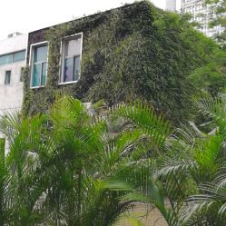 -深圳市妇幼保健院(红荔院区)