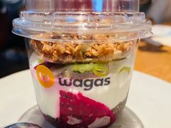 -Wagas沃歌斯(汇智店)