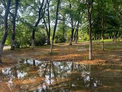 -长白岛森林公园