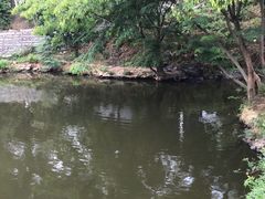 -泉州海丝野生动物世界