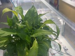-宝视友眼镜·平价精准配镜(同德悦中心店)
