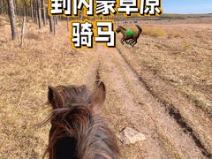 -塞罕坝国家级自然保护区