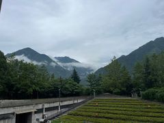 -四川汶川特大地震漩口中学遗址